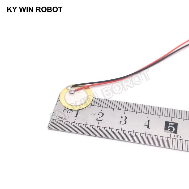10 Pcs Piezoelectric Piezo Cer - R/Diy Electronics 评论和价格