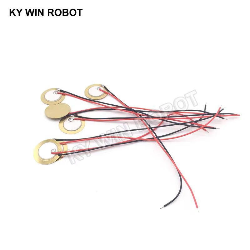 10 Pcs Piezoelectric Piezo Cer - R/Diy Electronics 评论和价格